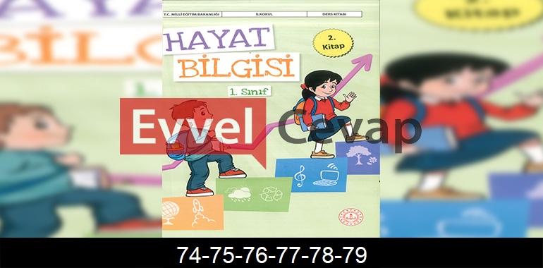 1. Sınıf Hayat Bilgisi 2. Kitap Cevapları Sayfa 74-75-76-77-78-79