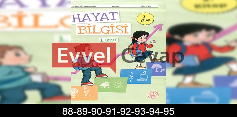 1. Sınıf Hayat Bilgisi 2. Kitap Cevapları Sayfa 88-89-90-91-92-93-94-95