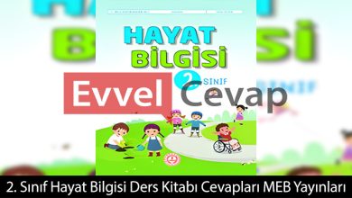 2. Sınıf Hayat Bilgisi Kitabı Cevapları