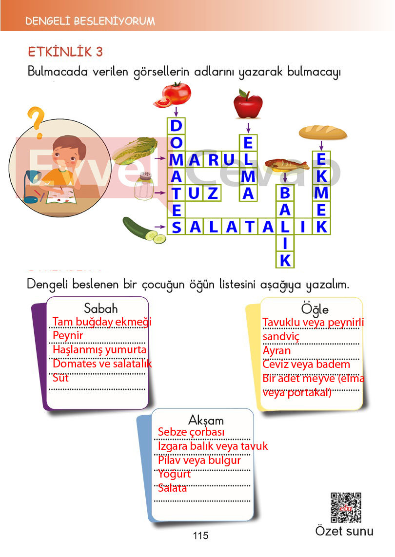 2-sinif-hayat-bilgisi-kitabi-cevaplari-sayfa-115
