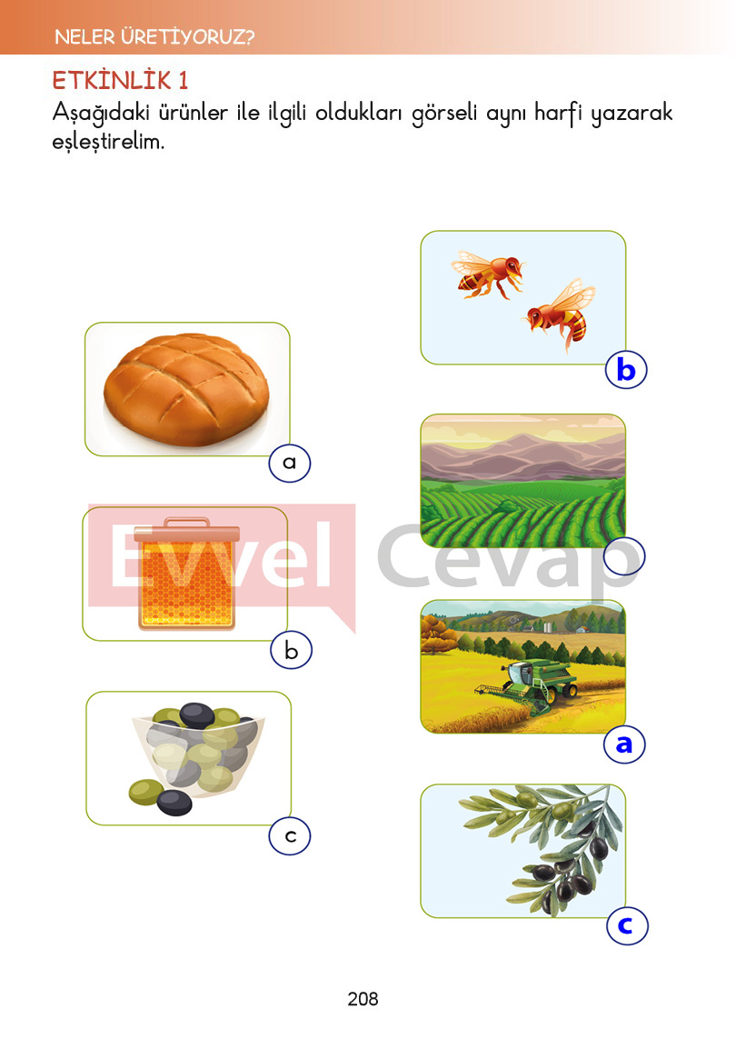 2-sinif-hayat-bilgisi-kitabi-cevaplari-sayfa-208