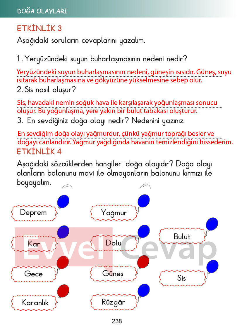 2-sinif-hayat-bilgisi-kitabi-cevaplari-sayfa-238