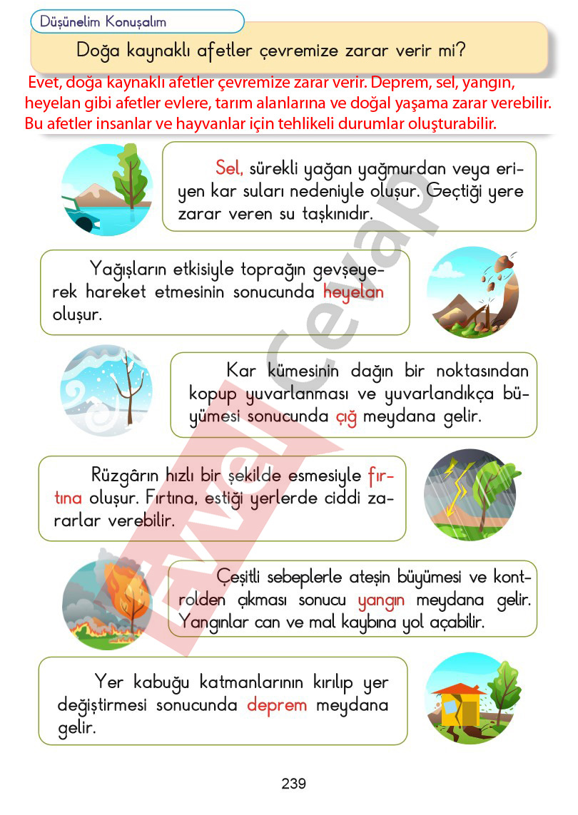 2-sinif-hayat-bilgisi-kitabi-cevaplari-sayfa-239