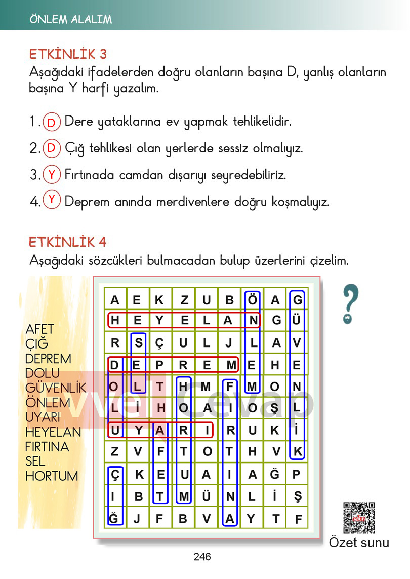 2-sinif-hayat-bilgisi-kitabi-cevaplari-sayfa-246